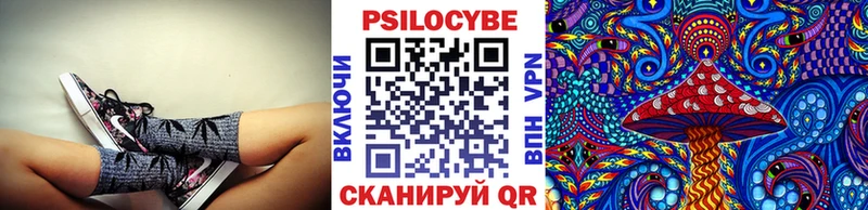 Псилоцибиновые грибы Psilocybine cubensis  Старица 